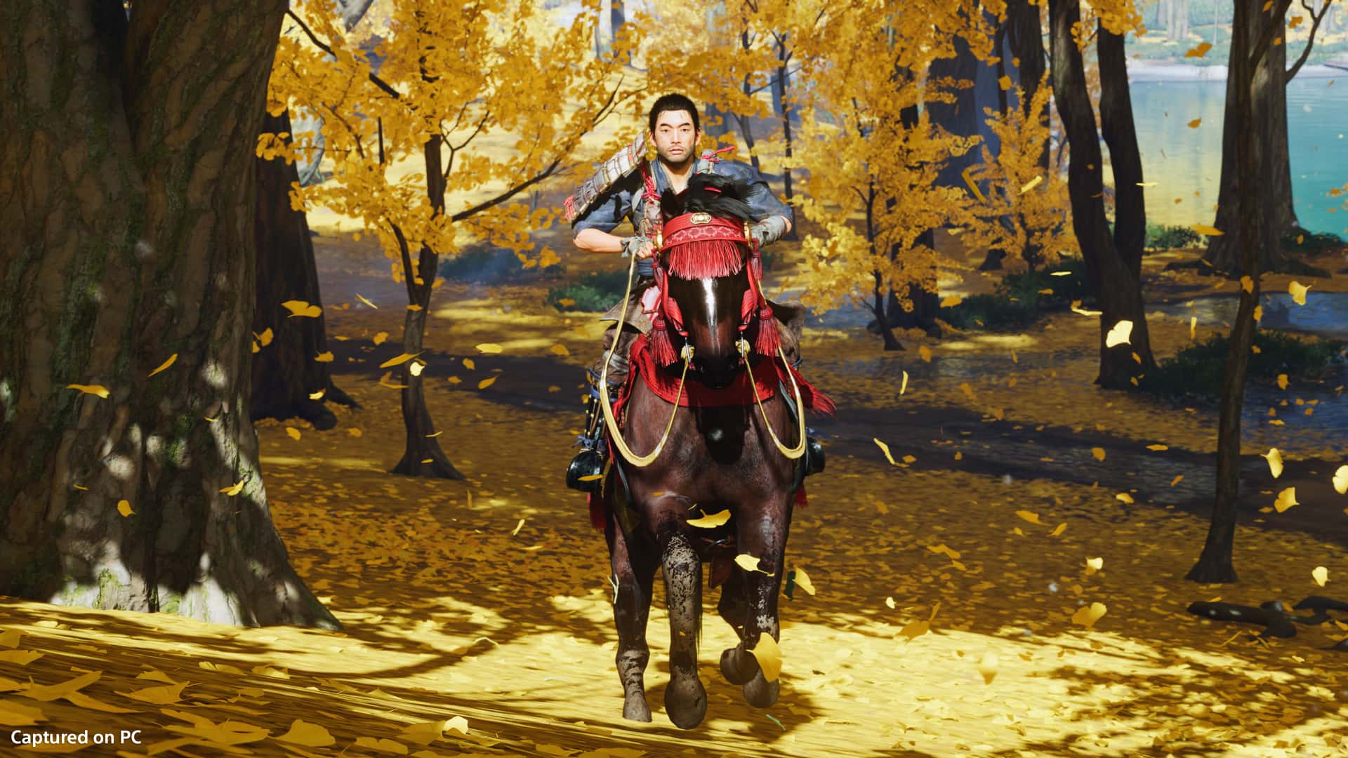 对马岛之魂 Ghost of Tsushima 导演剪辑版 全DLC最新豪华中文版背景